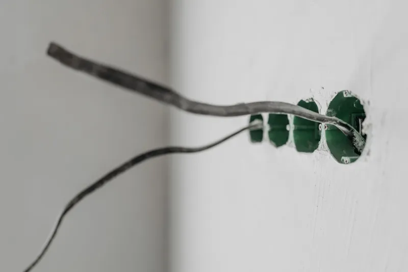 Aging Wiring, Real Consequences: What's Living Inside the Walls of Older American Homes